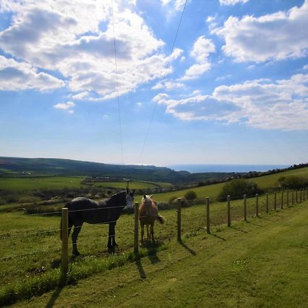 Вілла 1 Bed In Boscastle Lpenc Екстер'єр фото